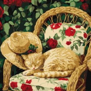 Картина за номерами - Кіт у саду 30х40 см.