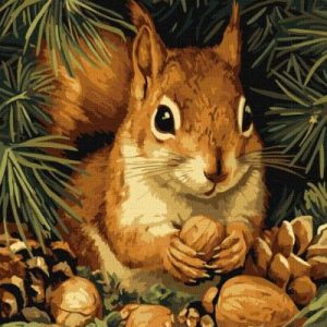 Картина за номерами - Білочка та горішки 40х50 см.