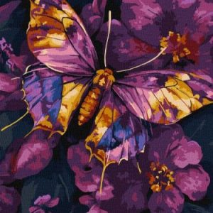 Картина за номерами - Золотий метелик з фарбами металік extra 30х40 см.