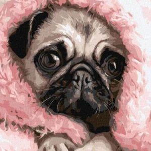 Картина за номерами - Закутаний мопс 30х40 см.