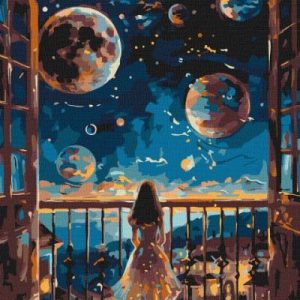 Картина за номерами - Мрійлива ніч 40х50 см.