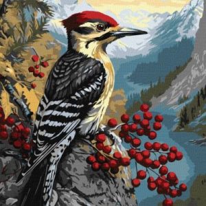 Картина за номерами - "Дятел на калині" ©art_selena_ua, 40х50см