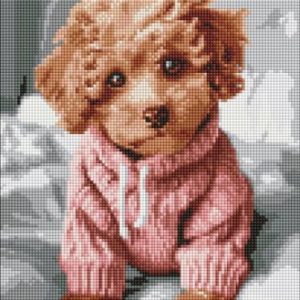 Алмазна мозаїка - "Чарівний мальтіпу" ©art_selena_ua, 30х40см