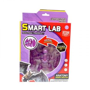 Набір для дослідів  Анатомія тварин, Кажан