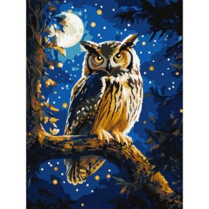 Картина за номерами з фарбами металік "Нічна сова" 30х40 см