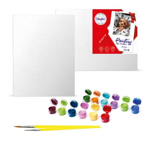 Картина за номерами "Гра на скрипці" 30x40 см