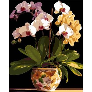 Картина по номерах на чорному фоні "Вазон орхідей" 40х50 см