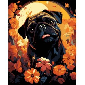 Картина по номерах на чорному фоні "Мопс у квітах" 40х50 см