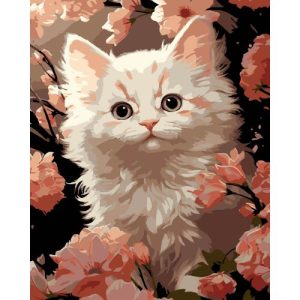 Картина по номерах на чорному фоні "Біле кошеня" 40х50 см