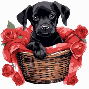 Картина по номерах "Чорне щеня з трояндами" 20х20 см