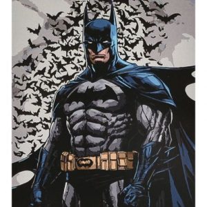 Картина по номерах "Герой у накидці" 40х50 см