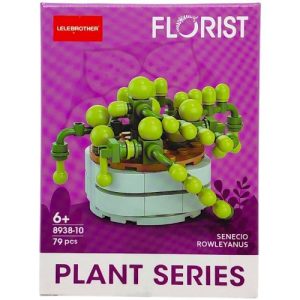 Конструктор серії "PLANT SERIES" (ВИД 10)