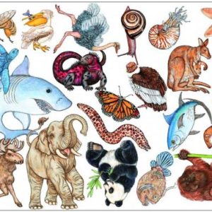 Гра настільна карткова дитяча "Занімалка"