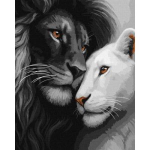 Картина по номерах "Закохані леви" 40х50см