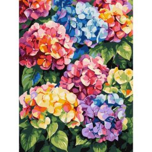 Картина по номерах "Різнокольорові гортензії" 30х40 см