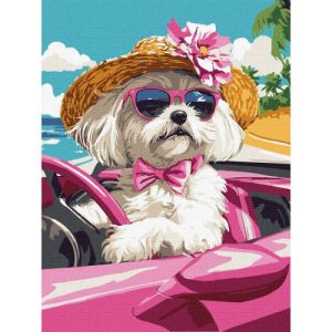 Картина за номерами "Рожева машина", 30х40 см