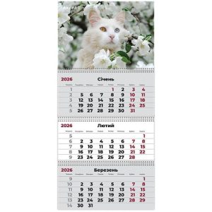Календар настінний квартальний 2026 р.,3 пр. Cats 3