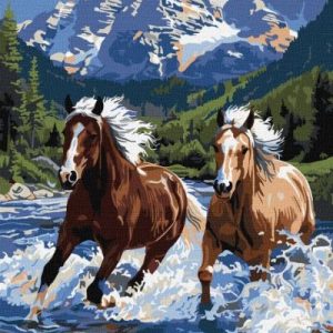 Картина за номерами - "Сила у русі" ©art_selena_ua, 40х50см