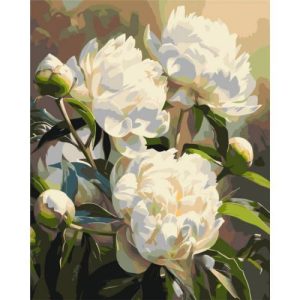 Картина за номерами "Гармонія півоній" 40х50 см