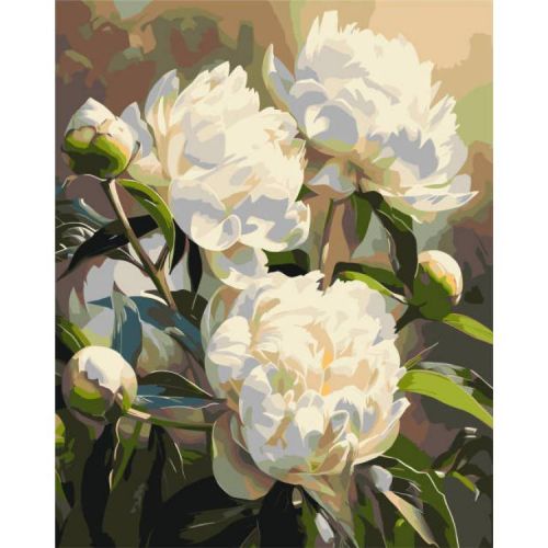 Картина за номерами "Гармонія півоній" 40х50 см