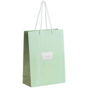 Пакет паперовий подарунковий, 18х24см, TR, Nature`s Melody 1