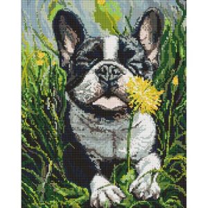 Алмазна мозаїка "Пес і кульбаба" 40х50 см