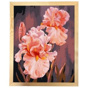 Картина за номерами з багетною рамкою "Рожеві іриси" 40х50 см