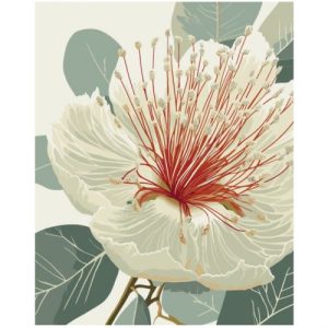 Картина за номерами "Квітучий евкаліпт" 40х50 см