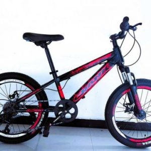 Дитячий спортивний велосипед 20’’ Corso «CRANK»