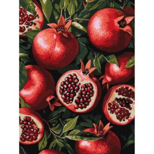 Картина по номерах "Гранат у розрізі" 30х40 см